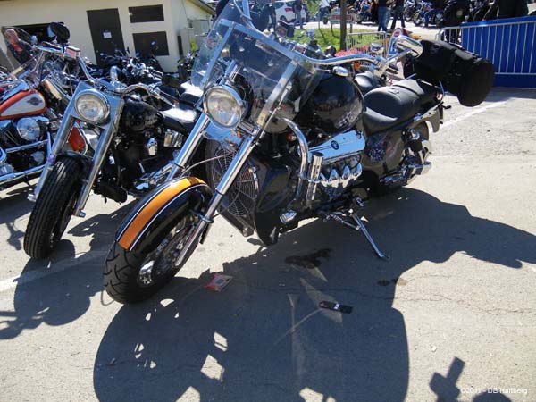 BikeWeek2010 (135)