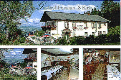 Gasthof-Pension "3-Birken"